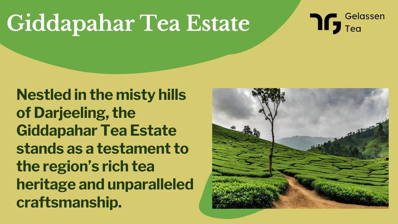 Giddapahar Tea Estate