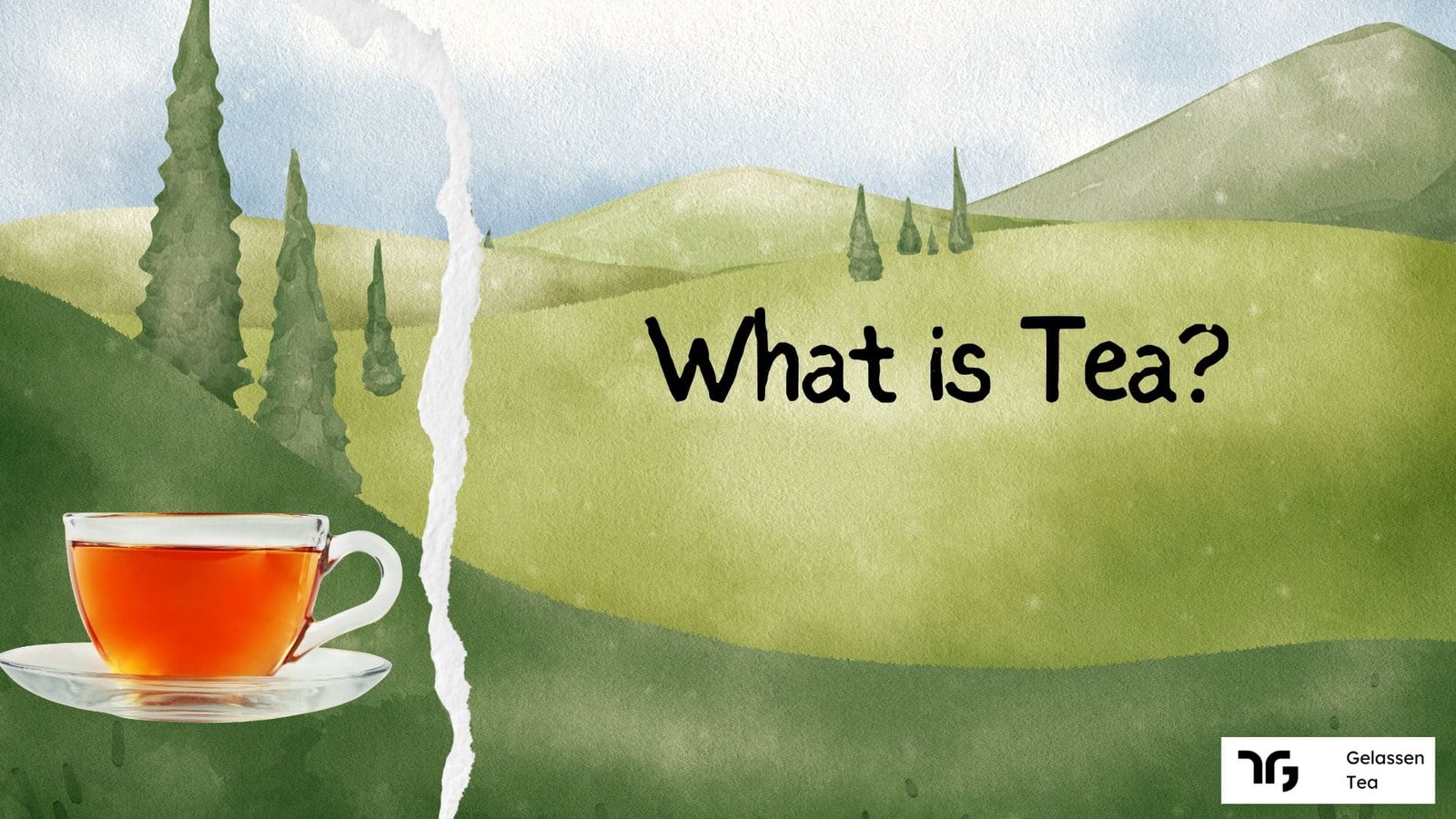 What is tea