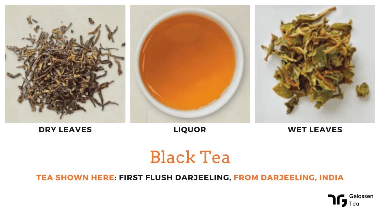 black tea first flush from darjeeling