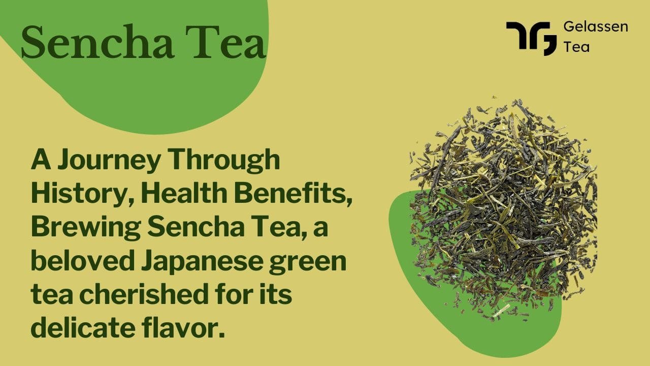 sencha tea