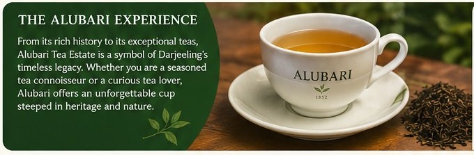 Alubari tea Experience
