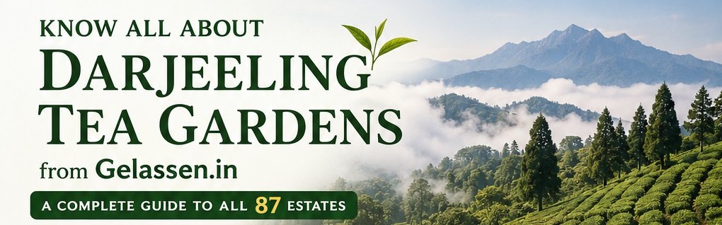 List of Darjeeling Tea Gardens: A Complete Guide to All 87 Estates